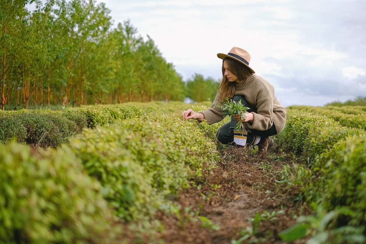 El papel de la mujer en el desarrollo rural